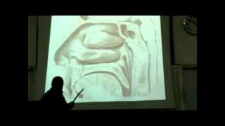 Dr Sherif Galal Neck 15 quotNose  Nasal cavity amp Paranasal sinus quot [upl. by Gaidano]