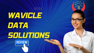 Wavicle Data Solutions  Review [upl. by Niwde]