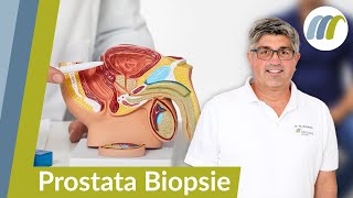 Prostata Krebs sicher feststellen So funktioniert die Prostatastanzbiopsie [upl. by Neuburger]