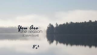 Vietsub  Lyrics You Are The Reason  Calum Scott [upl. by Gabriela]