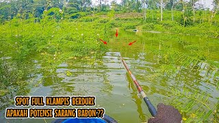 JORAN TERKUAT SAMPAI SAYA BAWA‼️ SPOTNYA AJA UDAH KAYA SARANG BABON  mancing nila babon [upl. by Desta]