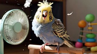 Ultimate Budgie Chirping Compilation [upl. by Dnalyr]