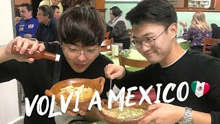 Me enseñaron a COCINAR comida MEXICANA  ¡Volví a México  kenroVlogs ft Coreano Vlogs [upl. by Anella]