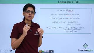 Class 11th – Qualitative Analysis  Test for Nitrogen  Organic Chemistry  Tutorials Point [upl. by Beattie132]