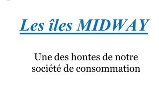 Les îles Midway  une des hontes de notre société de consommation [upl. by Sharity]