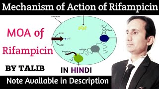 Mechanism of Action of Rifampicin In Hindi  Antitubercular Drugs [upl. by Emeric]