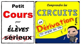 Comprendre les circuits en dérivation [upl. by Gardas48]