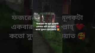 সূরা মূলক motivation youtubeshorts loveallahﷻ surah surahmulkwithurdu novolo [upl. by Melinde]