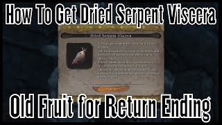 Sekiro Shadows Die Twice  How to Get Dried Serpent Viscera Old Fruit for Return Ending [upl. by Wolfgram]