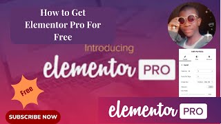 How to get Elementor pro Plugin For free 2024 [upl. by Zeuqcaj]