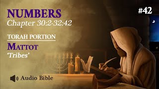 Audio Bible Torah Portion Mattot  Tribes  Numbers 3023242 [upl. by Frear]