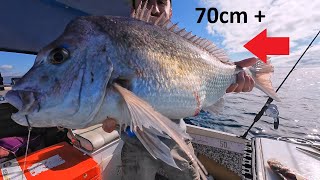 BIG SPRING SNAPPER 4K Catch amp Clean EP 7 [upl. by Sugihara]