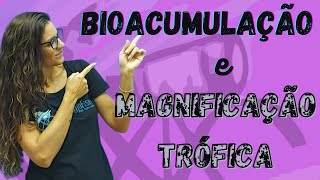 Ecologia  Bioacumulação e Magnificação trófica [upl. by Priestley40]