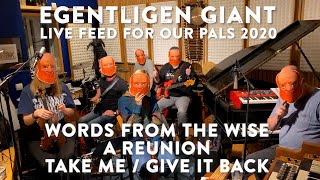 EGENTLIGEN GIANT  LIVE FEED FOR OUR PALS  OCT 18  2020 [upl. by Analed]