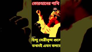 হিন্দু নেত্রীবৃন্দ গুলো তখনই এমন বলত  allama delwar hussain saidi waz দেলোয়ারহোসাইনসাঈদী [upl. by Irac899]