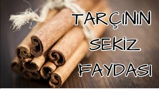 TARÇININ 8 FAYDASI [upl. by Standish]