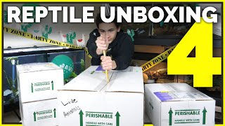 Unboxing 16 Pet Reptiles Leopard Geckos Ball Pythons amp More New Animals [upl. by Clintock]