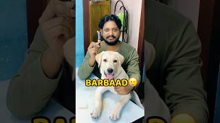 Pogo Makeup Kit Kha Gya😂😂 shorts vlog minivlog puppy labrador [upl. by Yarw]