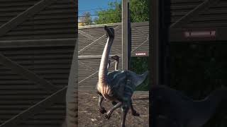 Struthiomimus the “ostrich mimicquot [upl. by Caraviello]