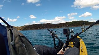 Kayak Fishing  Drift Fishing for Plaice [upl. by Ennasus]