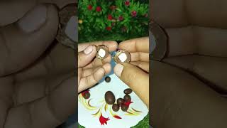 Fruits amp Nutties ytshorts subscribe youtubeshortsvideo viralvideo trending short foodvideo [upl. by Nrek]