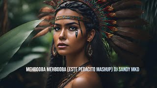 Mehbooba Mehbooba Este Padacito Mashup DJ Sandy MKD [upl. by Yracaz]