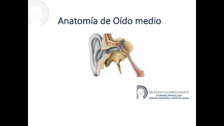 2 Anatomia de Oído medio [upl. by Arlana258]