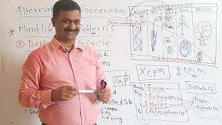 PLANT KINGDOM ALTERNATION OF GENERATION  DILONTIC LIFE CYCLE  LECTURE1 PART5  DR MUKESH KUMAR [upl. by Hcab]