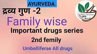 द्रव्य गुण 2 dravy guna  Umbelliferae all important drugs  Family wise drugs bams2ndyear [upl. by Mohr]