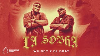 Wildey El Dray  LA SOBRA Video Oficial [upl. by Anallese]