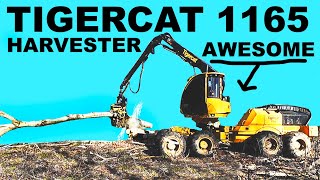 TIGERCAT 1165 HARVESTER  COMPLETE CARNAGE [upl. by Ednutey]