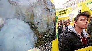 Agricultores sentemse abandonados após catástrofes [upl. by Ursas409]