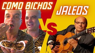 FALSETÓN JALEOS EXTREMEÑOS Y COMO BICHOS MIGUEL VARGAS REMATES Y VARIACIONES TUTORIAL OBLIGADO [upl. by Airotahs]