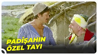 Koca Yusuf Padişah İçin Tay Seçiyor  Köroğlu Türk Filmi [upl. by Atina346]