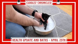 Cuddles Chronicles  April 25th  Health Update and Baths [upl. by Rumery]