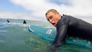 Surfing in San Diego until GREAT WHITE SHARK clears beach  Twice [upl. by Sherwin322]