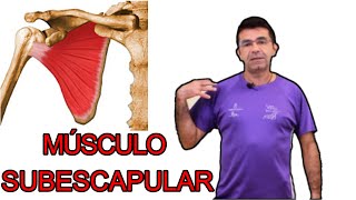 Musculo Subescapular valoración y corrección [upl. by Ajnot139]