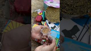 ये तो बड़ा खतरनाक है 🤯😳😵 Crackers Testing 2024 🧨 shorts diwali testing fireworks [upl. by Llibyc]