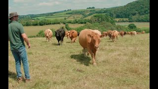 How can cows benefit biodiversity soil health and more [upl. by Dyol]