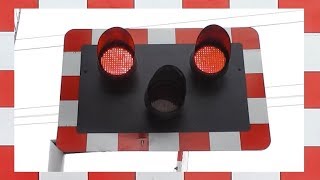 Railway Crossing at Sandymount Avenue in County Dublin Ireland [upl. by Drof]