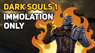 Can You Beat DARK SOULS 1 With Only Immolation [upl. by Ailasor]