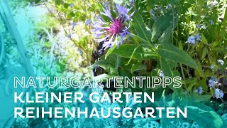 Naturgartentipps für kleine Gärten von Markus Burkhart  Salzburg AG TV [upl. by Sykes]