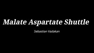 Malate Aspartate Shuttle [upl. by Savitt]