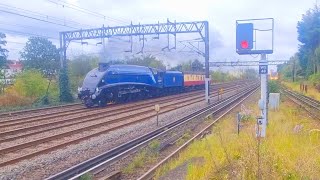 Passing Trains at South Kenton on the WCML [upl. by Notrom59]