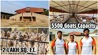 36 लाख की नौकरी छोड़ Goat Farming से बना डाली करोड़ों की बकरी फैक्ट्री  Goat Farm Tour [upl. by Justen260]