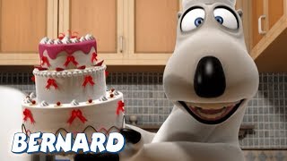 Bernard Bear  The Cook AND MORE  30 min Compilation  Cartoons for Children [upl. by Einafats]