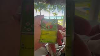 Pokémon in paradise beach vacation collectiblecards pokemon pokémon stellarcrown collector [upl. by Nicolau433]