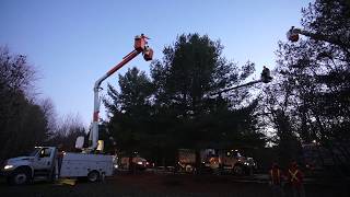 Ken Reid Conservation Area Tree Lighting on December 6 2018 [upl. by Ellerehs261]