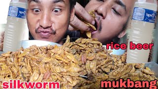 Preparing and eating spicy silkworm in naga traditional style with rice beer [upl. by Rattray]