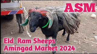 Episode 118 Amingad Ram Sheep Market Bagalkot Karnataka India Eid Market25th May 2024 [upl. by Mordecai182]